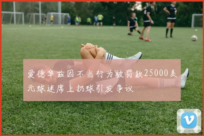 爱德华兹因不当行为被罚款25000美元球迷席上扔球引发争议