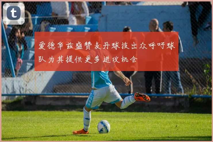 爱德华兹盛赞麦丹球技出众呼吁球队为其提供更多进攻机会