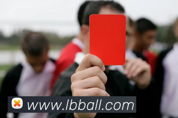 立博足球平台生态图